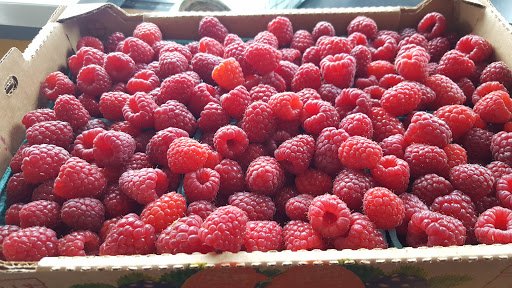 Grocery Store «Lewis River Produce», reviews and photos, 1697 Lewis River Rd, Woodland, WA 98674, USA