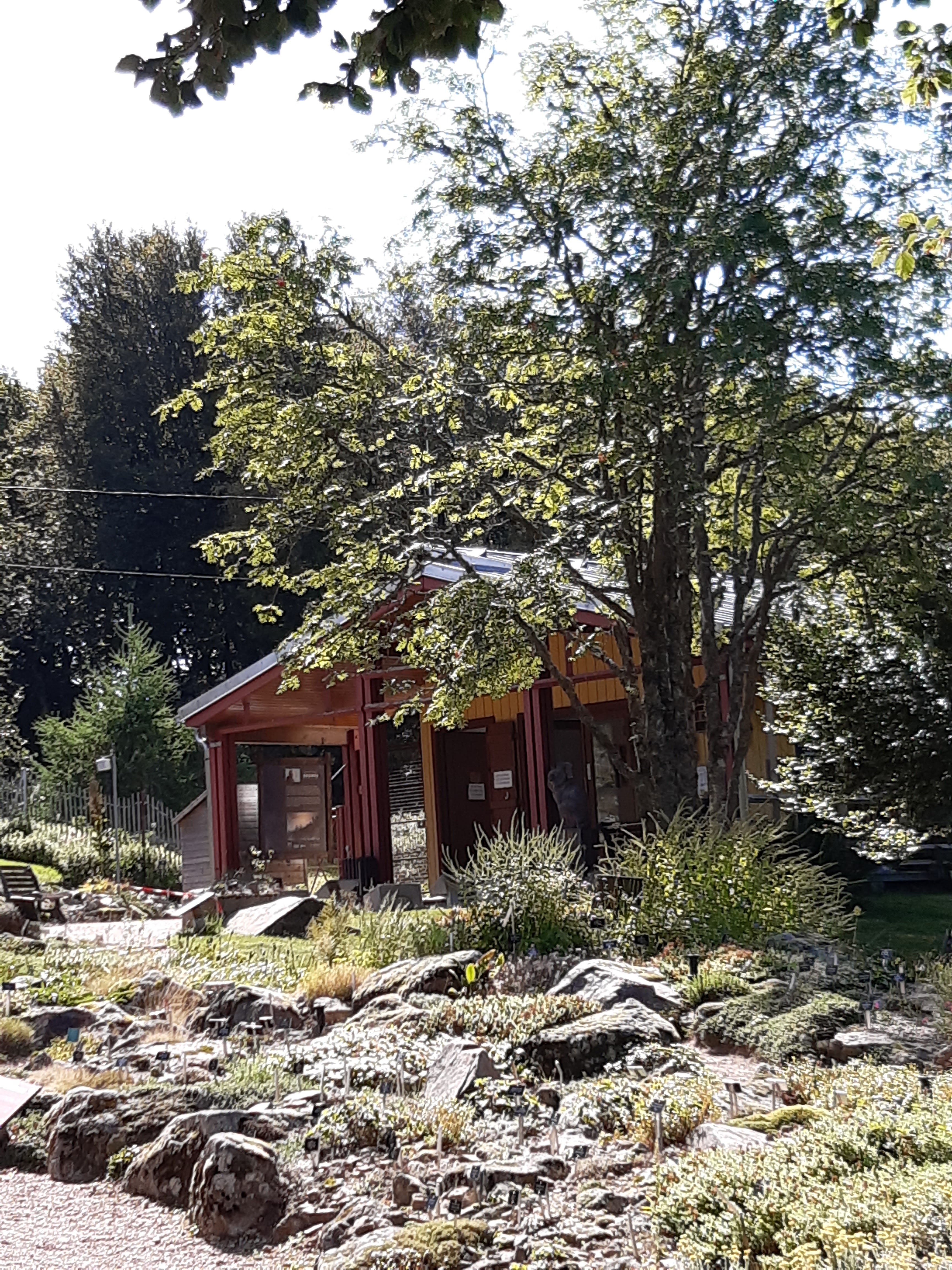 Photo n° 2 de l'avis de Patrice.a fait le 09/09/2023 à 15:15