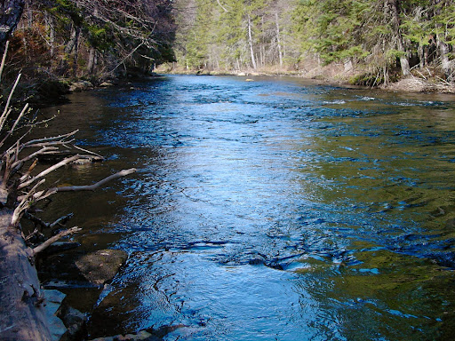 Bed & Breakfast «Snowy Mountain Inn», reviews and photos, 5088 NY-30, Indian Lake, NY 12842, USA