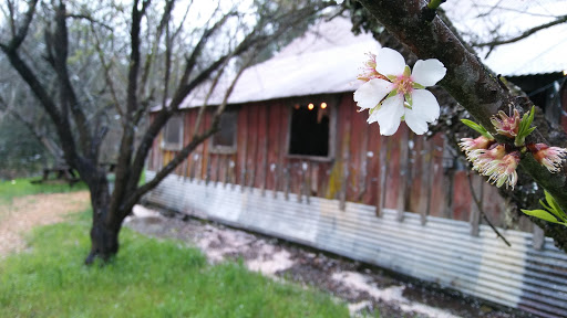Coffee Shop «Mountain Sage», reviews and photos, 18653 Main St, Groveland, CA 95321, USA