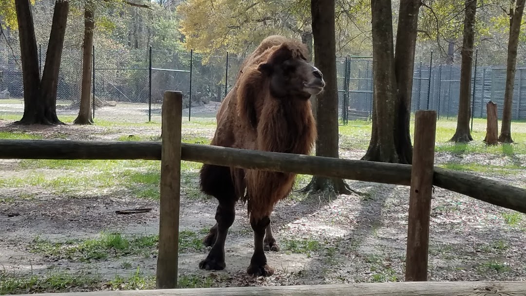 The Zoo at Chehaw Concessions Stand