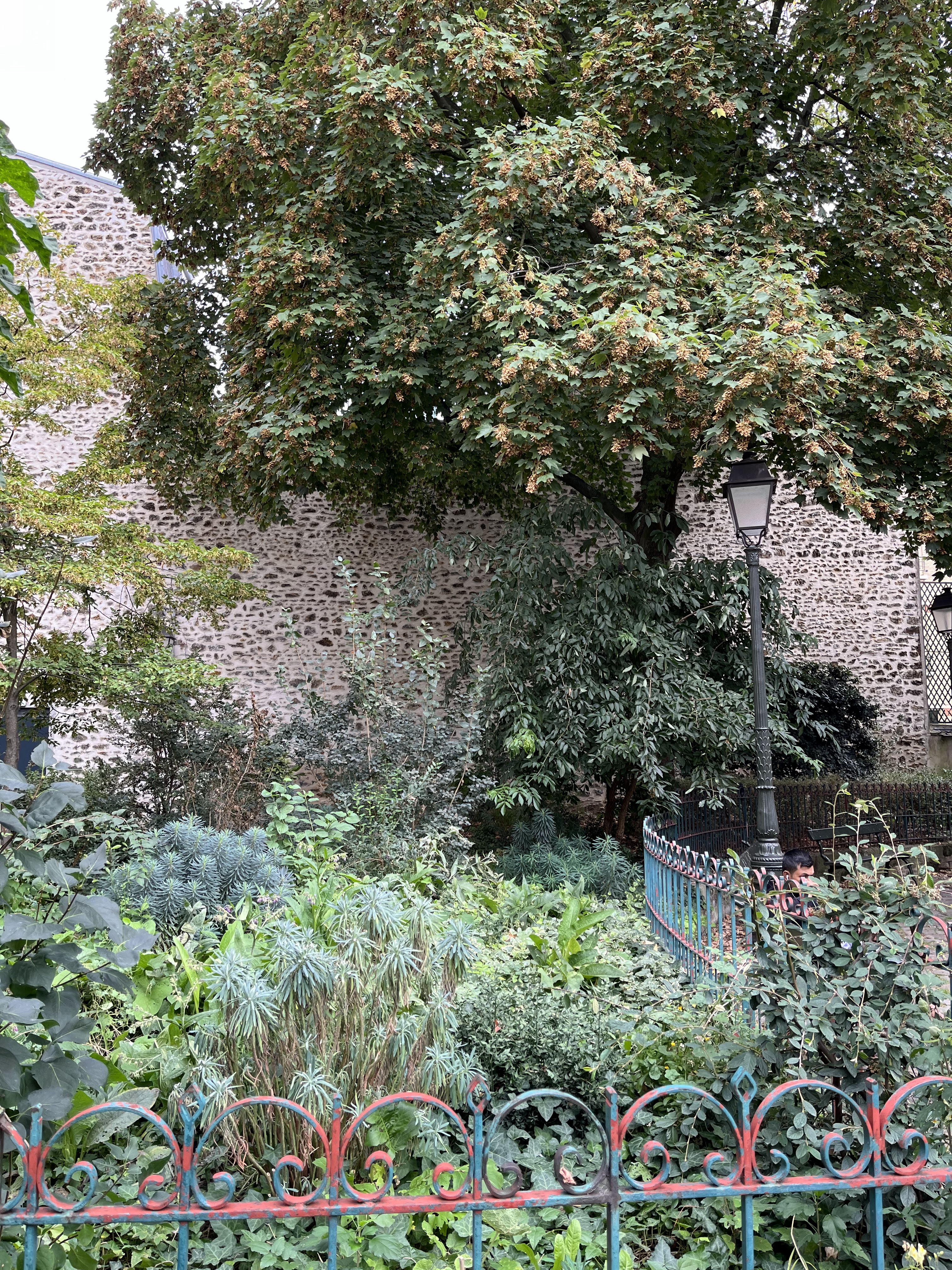 Photo n° 2 de l'avis de Papa.O fait le 28/09/2023 à 16:01