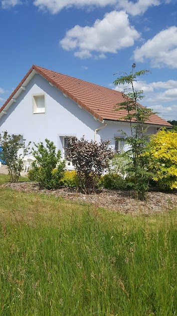 Gîte Des Jumeaux au cœur des Vosges à Nompatelize (Vosges 88)