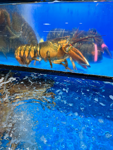 Korean Grocery Store «Super H Mart», reviews and photos, 2550 Pleasant Hill Rd #300, Duluth, GA 30096, USA