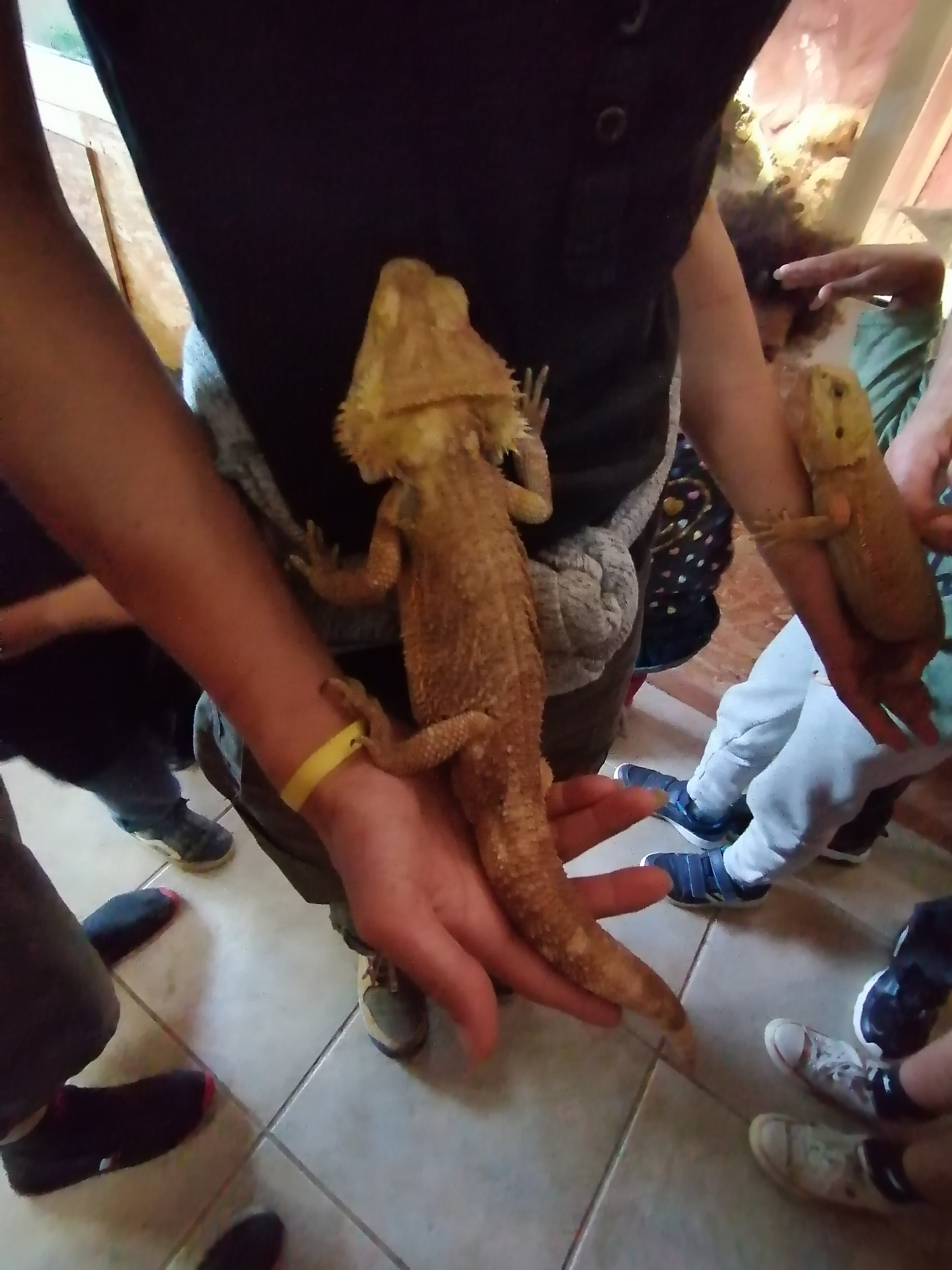 Photo n° 4 de l'avis de guerin.a fait le 06/11/2022 à 06:54