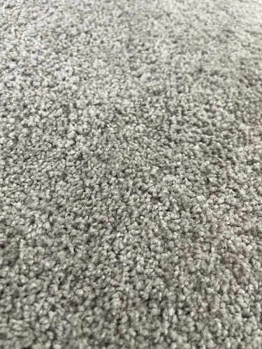 Alveco Cleaning Carpet - Leeds
