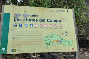 Llanos Del Campo image
