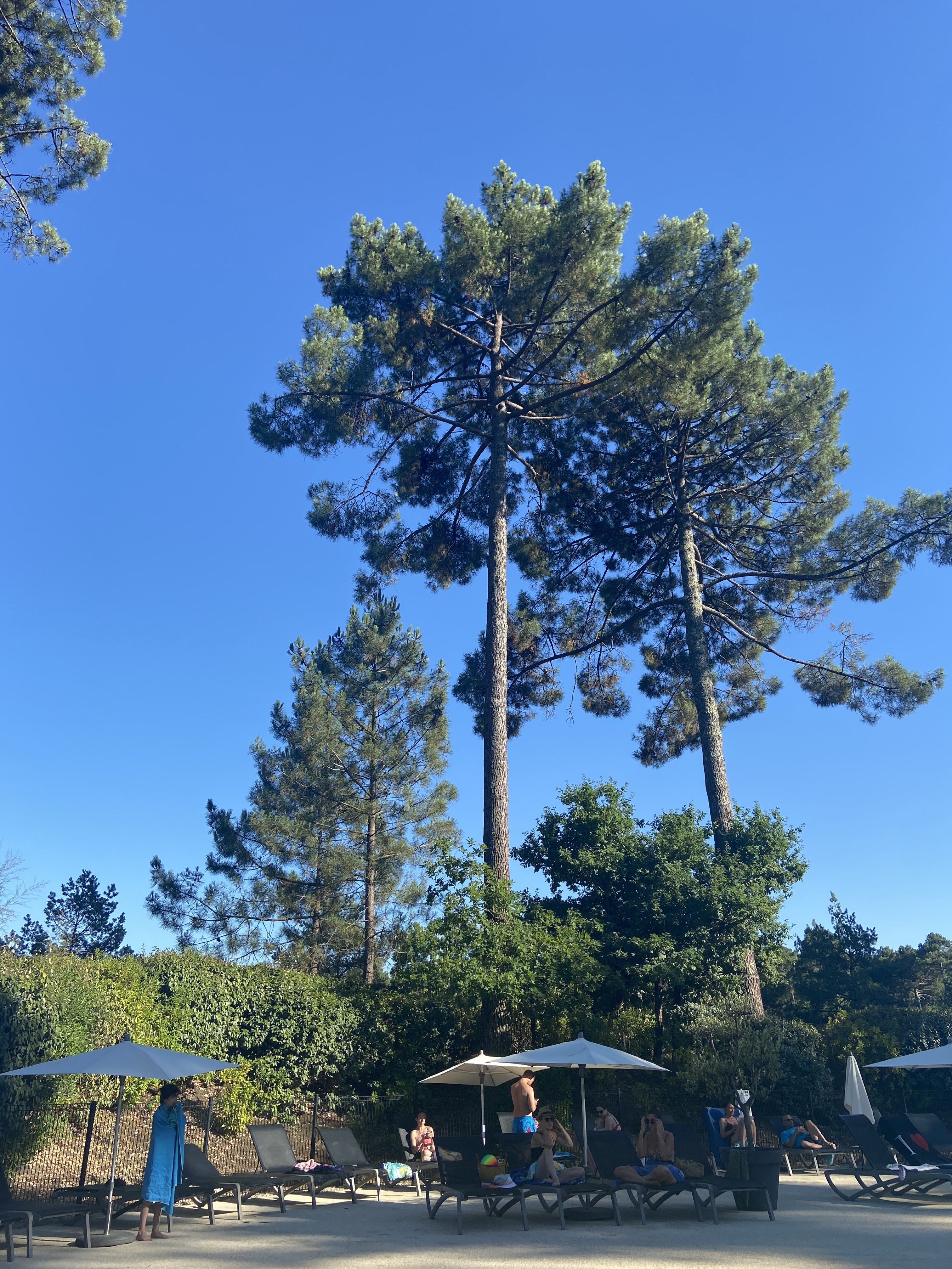 Photo n° 2 de l'avis de Andreeva.v fait le 07/08/2022 à 14:32