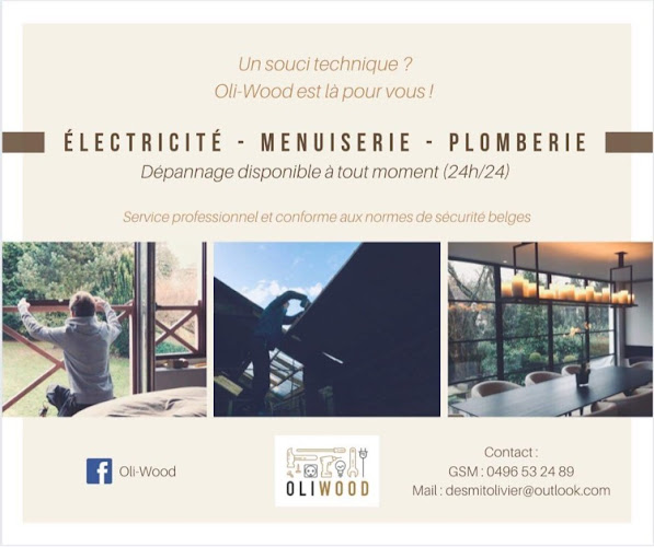 Reacties en beoordelingen van Oliwood. Électricien. Menuisier. Dépannage