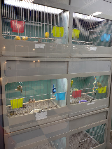 Pet Store «Creature Comforts», reviews and photos, 1250 Front St, Binghamton, NY 13901, USA
