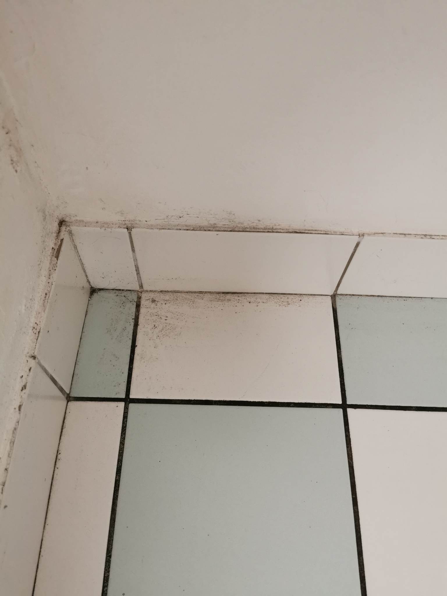Photo n° 15 de l'avis de Christophe.a fait le 05/05/2023 à 20:03