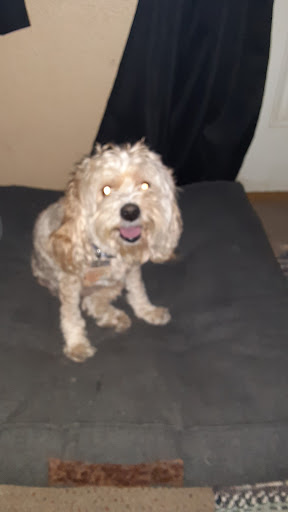 Pet Supply Store «Petco Animal Supplies», reviews and photos, 7625 Jolly Ln, Brooklyn Park, MN 55428, USA