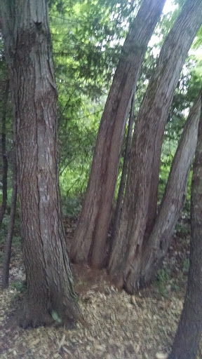 Performing Arts Theater «Vinegar Hill Music Theatre», reviews and photos, 53 Old Post Rd, Arundel, ME 04046, USA