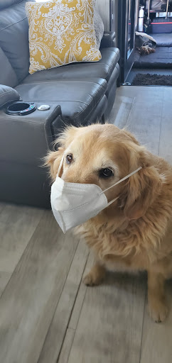 Pet Supply Store «Pet Food Express», reviews and photos, 868 Sir Francis Drake Blvd, San Anselmo, CA 94960, USA