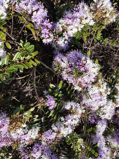 Pet Supply Store «Mini Pet Mart», reviews and photos, 815 S Broadway, Coos Bay, OR 97420, USA