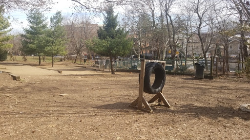 Dog Park «Forest Park Dog Run», reviews and photos, 8445 Park Ln S, Woodhaven, NY 11421, USA