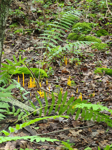 Event Venue «Cedar Lakes Estate», reviews and photos, 1 Team Usa Way, Port Jervis, NY 12771, USA