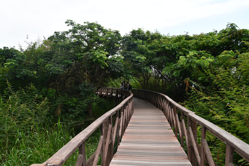 Paseo Ecoturístico Isla Santay