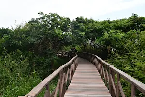 Paseo Ecoturístico Isla Santay image