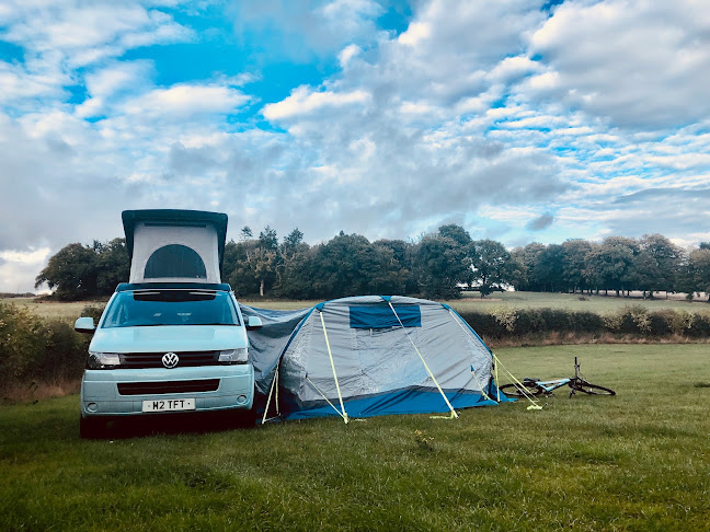 Comments and reviews of TFT Campervan Hire