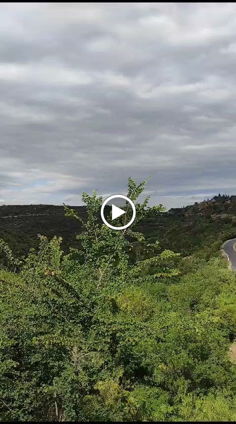 Photo n° 2 de l'avis de Pigny.e fait le 04/08/2023 à 08:15