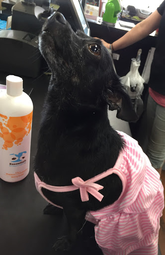 Pet Store «Pet Valu», reviews and photos, 604 Plaza Dr, Newark, DE 19702, USA