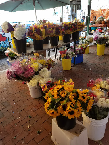 Used Book Store «Capitol Hill Books», reviews and photos, 657 C St SE, Washington, DC 20003, USA
