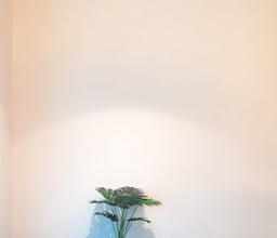 Belleza Beauty Bar photo