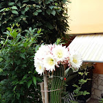 Photo n°2 de l'avis de Gianfranco.a fait le 18/05/2018 à 07:55 sur le  Campo Base Corvo à Corvara