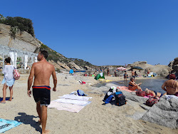 Cala del Lazzaretto'in fotoğrafı vahşi alan
