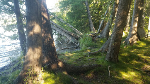 Nature Preserve «Teichner Preserve: The Leelanau Conservancy», reviews and photos, 5234 S Lime Lake Rd, Cedar, MI 49621, USA