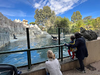 AllCare Primary & Immediate Care - Photo 8 - Car repair in Ellicott City, MD, Columbia