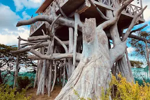 TREE HOUSE image
