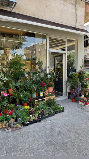 בשביל הפרחים - חנות פרחים בתל אביב - יפו