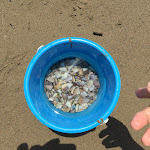 Photo n°3 de l'avis de Mariangela.a fait le 16/07/2019 à 21:10 sur le  Il Cavalluccio Marino à Fiumicino