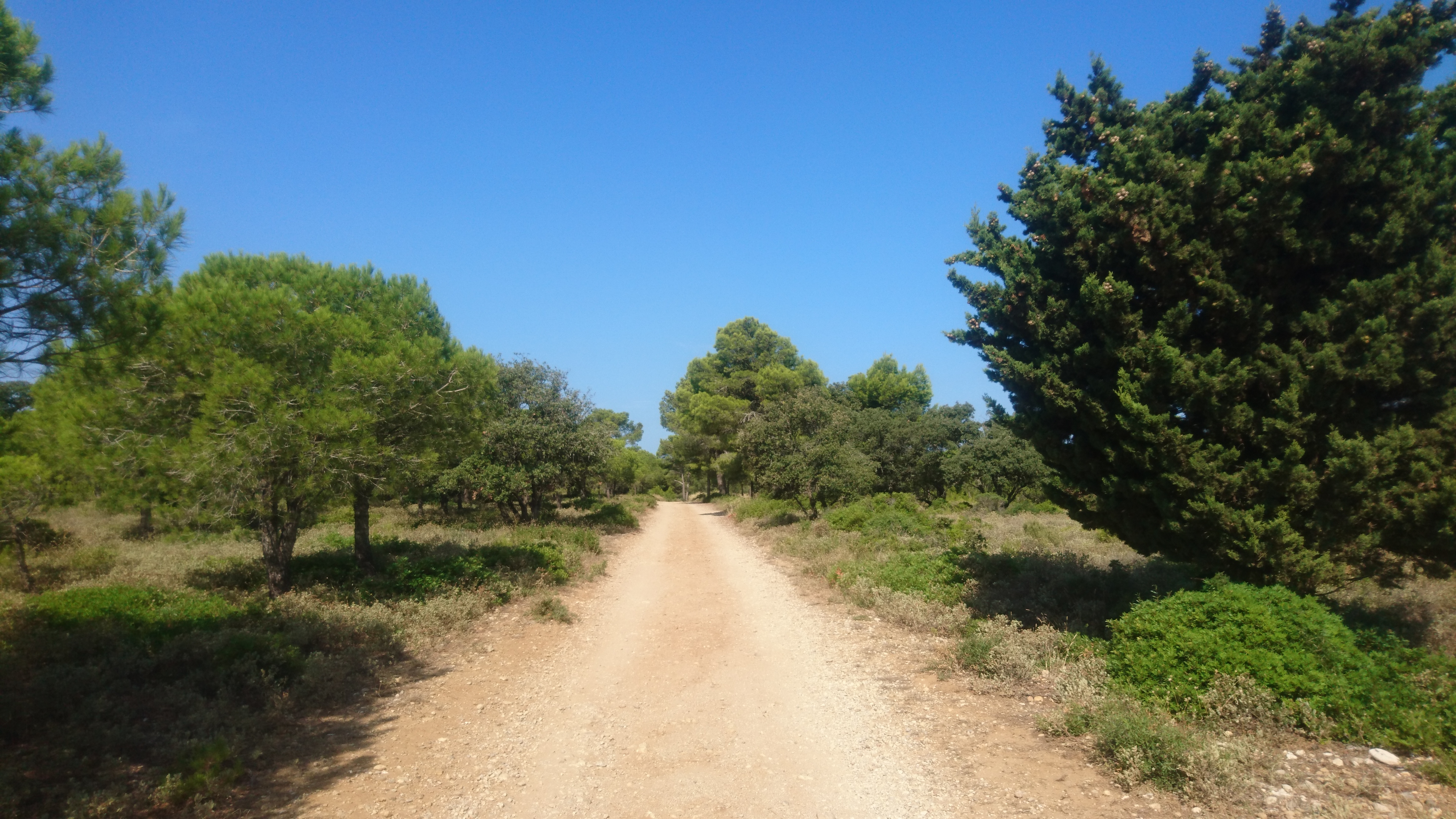Photo n° 4 de l'avis de jean-yves.u fait le 21/08/2018 à 10:11