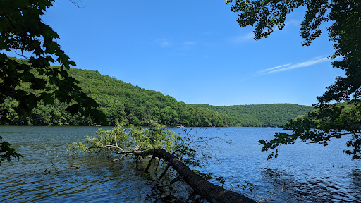 Paugussett State Forest