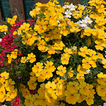 Photo n°2 de l'avis de Brunella.o fait le 15/05/2024 à 05:40 sur le  Albergo Monteverde à Lavarone