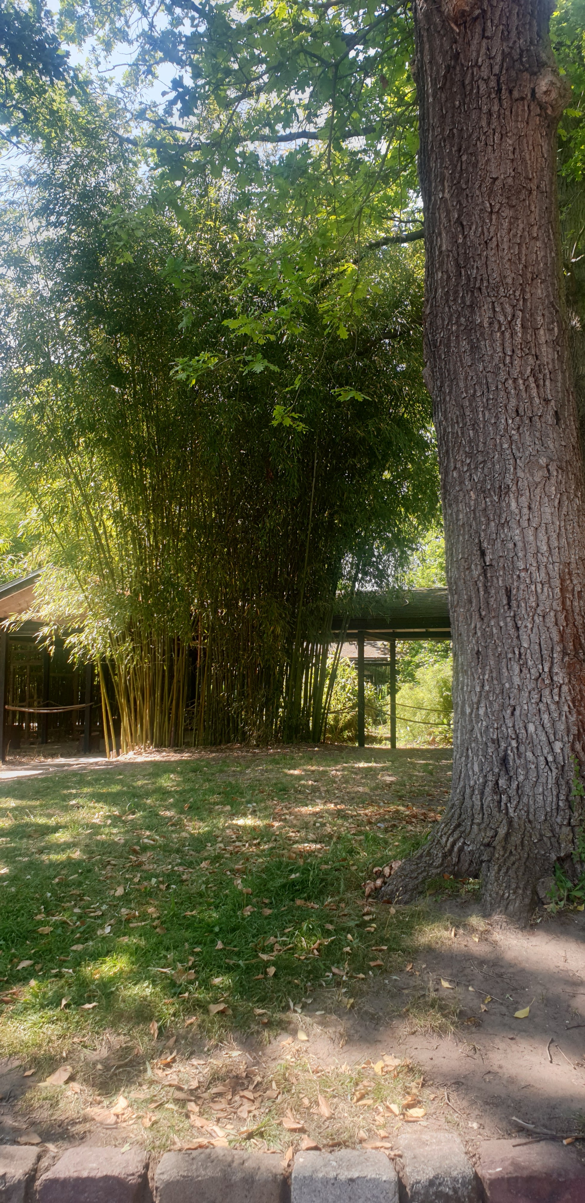 Photo n° 4 de l'avis de adhessa. fait le 07/06/2023 à 17:54