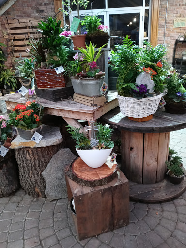 Florist «Viviano Flower Shop», reviews and photos, 32050 Harper Ave, St Clair Shores, MI 48082, USA