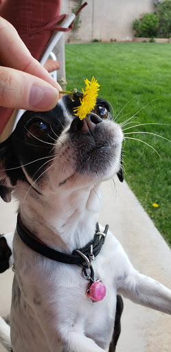 Park «Pueblo Park», reviews and photos, Peublo Vista Dr, Las Vegas, NV 89128, USA