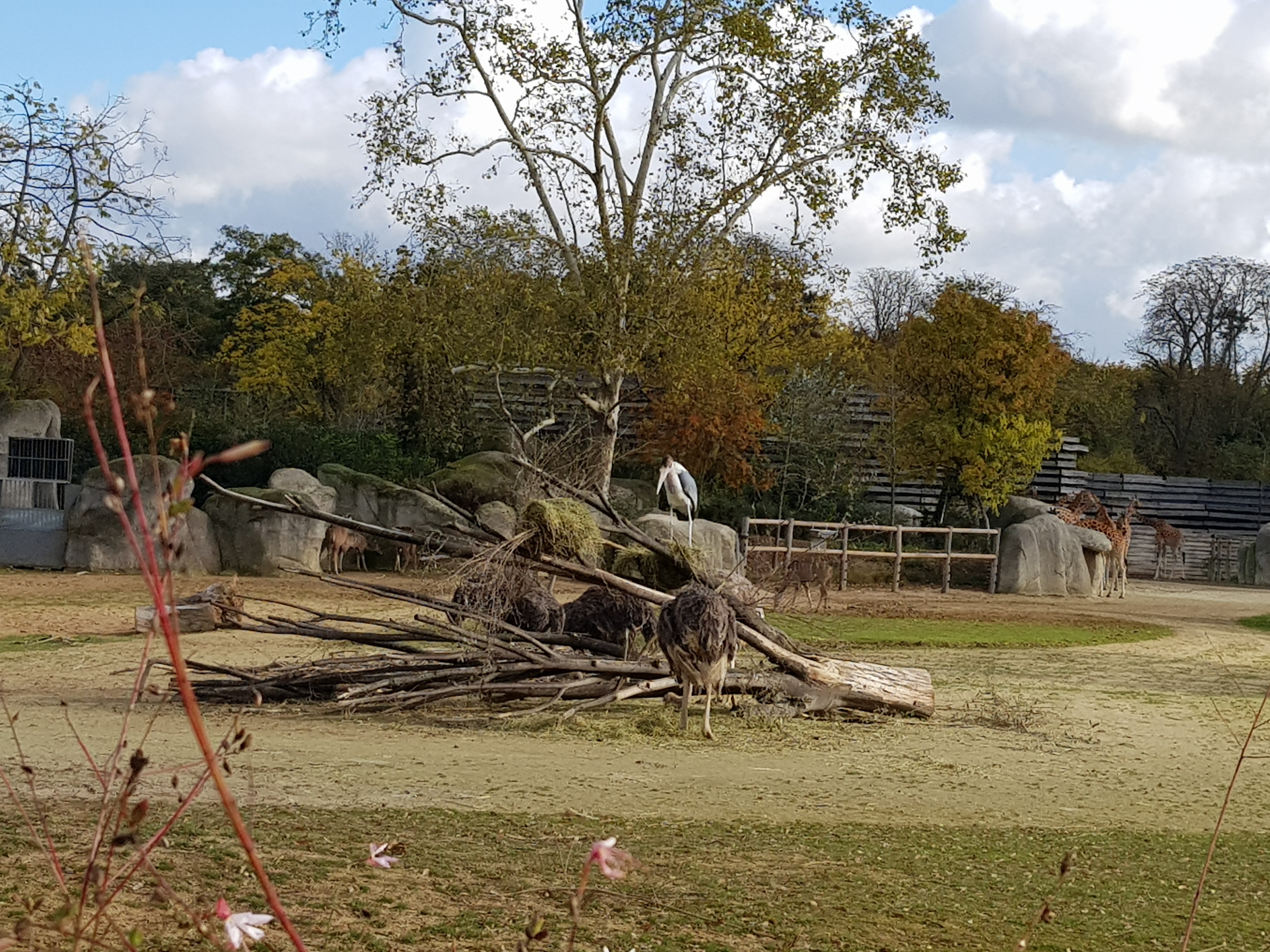 Photo n° 3 de l'avis de francis.a fait le 20/11/2017 à 07:17