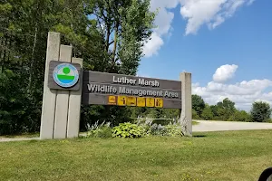 Luther Marsh Wildlife Management Area image