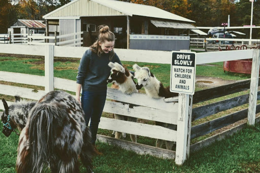 Farm «Dakota Ridge Farm», reviews and photos, 189 E High St, Ballston Spa, NY 12020, USA