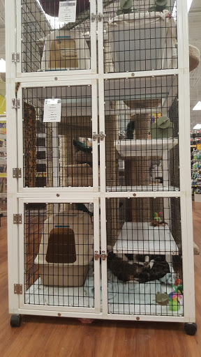 Pet Supply Store «Pet Supermarket», reviews and photos, 880 A1A N, Ponte Vedra Beach, FL 32082, USA