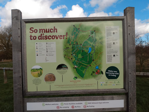 Queen Elizabeth Diamond Jubilee Wood