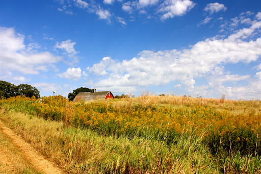 Nature Preserve «Maplewood Nature Center», reviews and photos, 2659 E 7th St, St Paul, MN 55119, USA