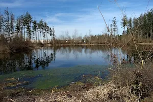 Hawk's Prairie Reclaimed Water Ponds image