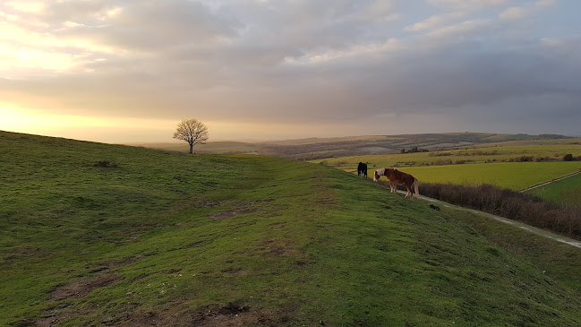 Comments and reviews of National Trust - Cissbury Ring
