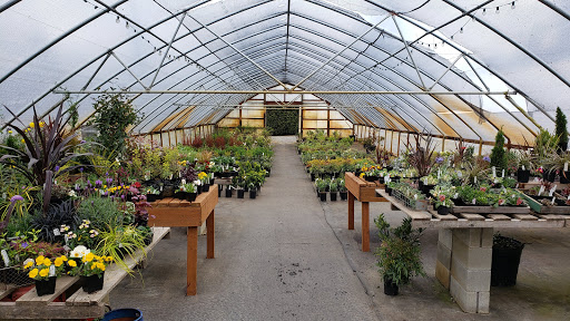 Plant Nursery «Pine Creek Nursery», reviews and photos, 23225 Sofie Rd, Monroe, WA 98272, USA